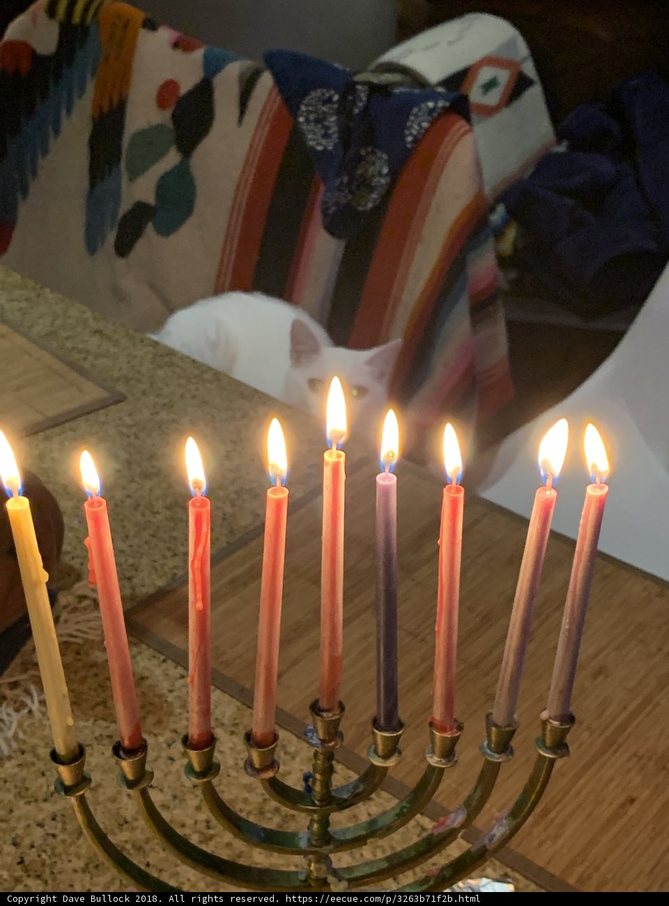 Festive Menorah