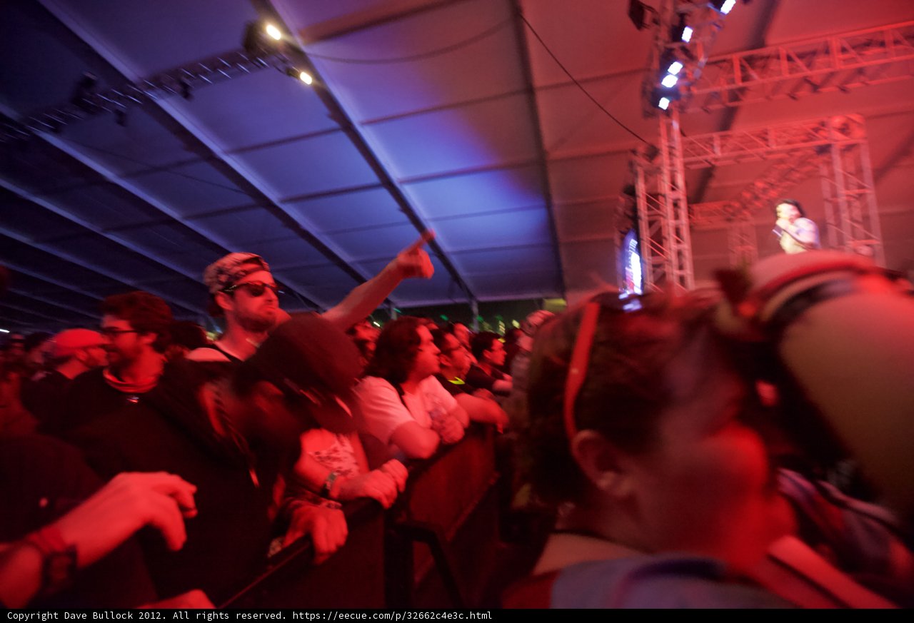 Urban Concert Crowd at Coachella