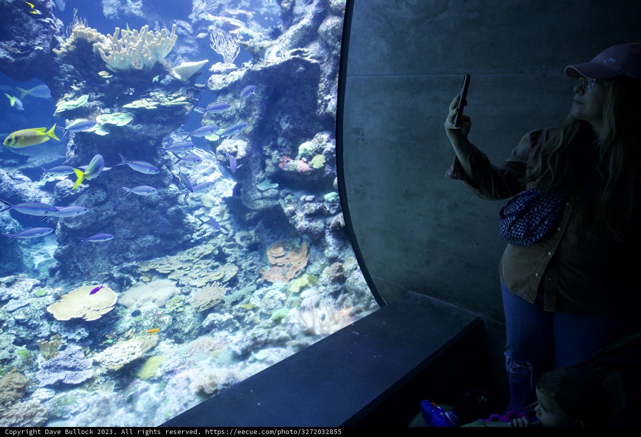 Ocean Wonders at Golden Gate Park
