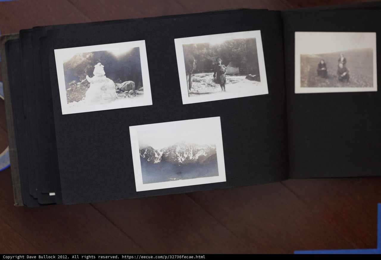 Bullock Curtis Family Album