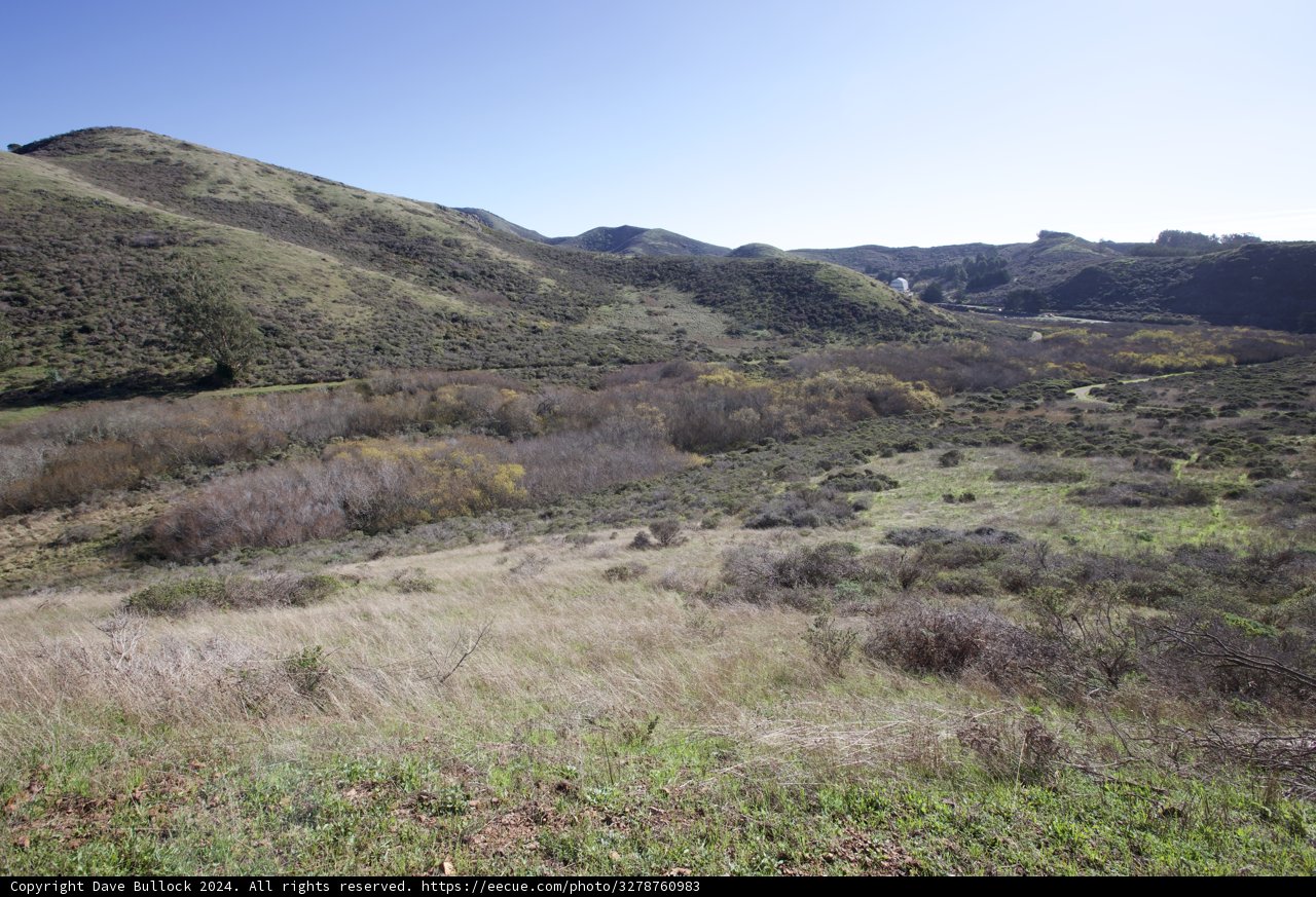 Tranquil Vista at Marin Headlands