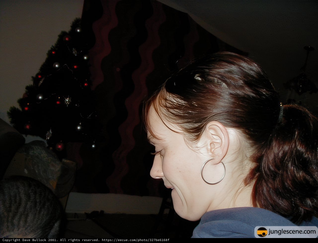 Christmas Cheer with Friends