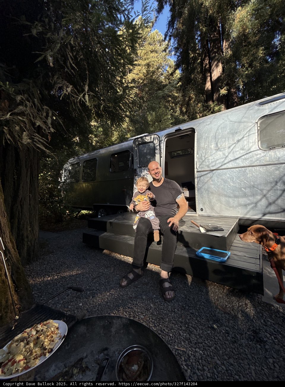 Serenity in the Redwood Retreat