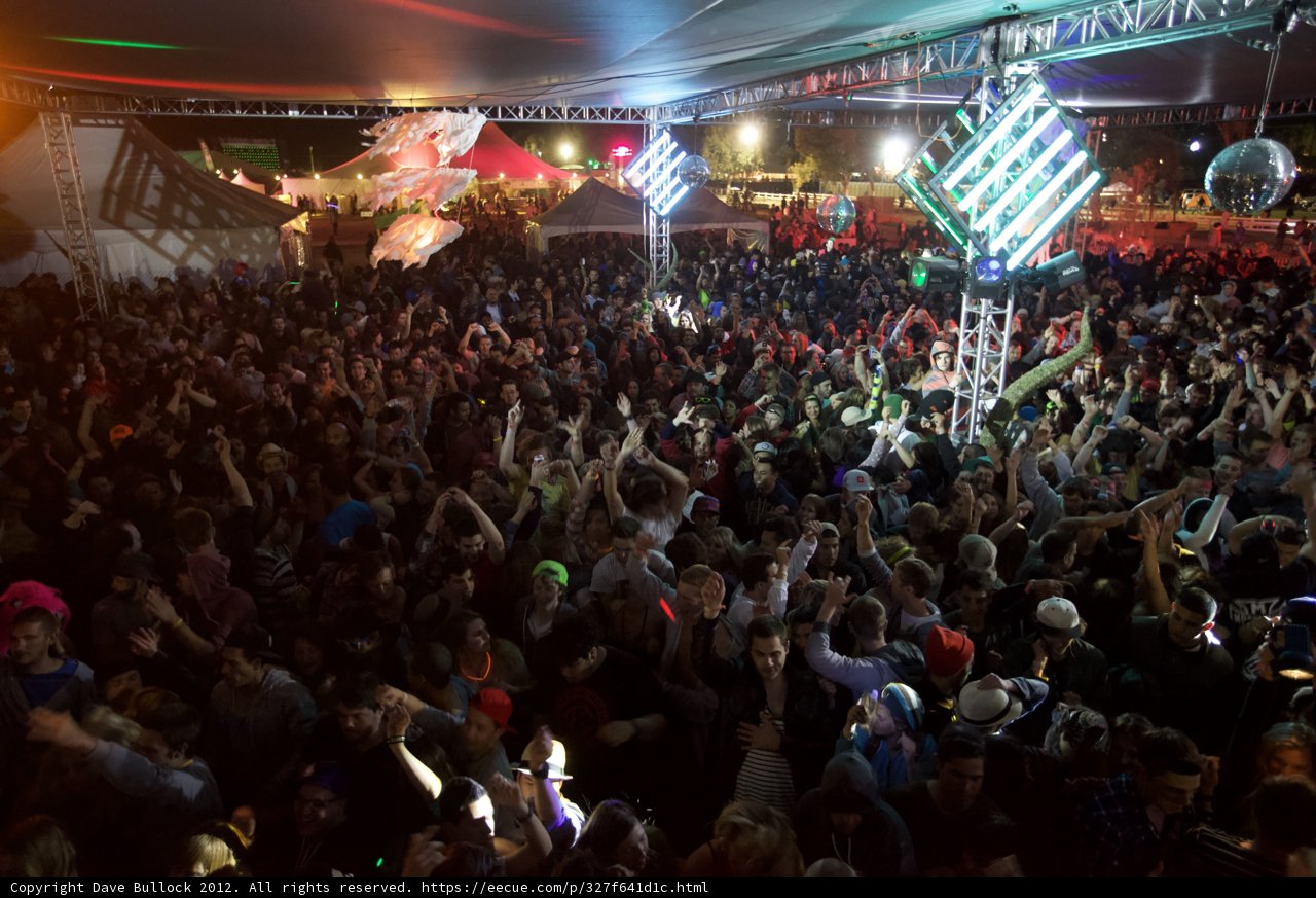 Coachella Nights