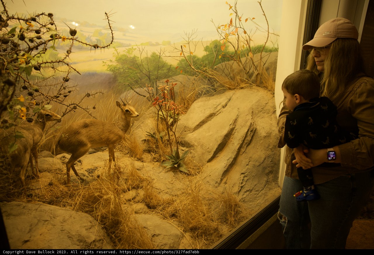 A Moment of Wonder: Discovering Wildlife