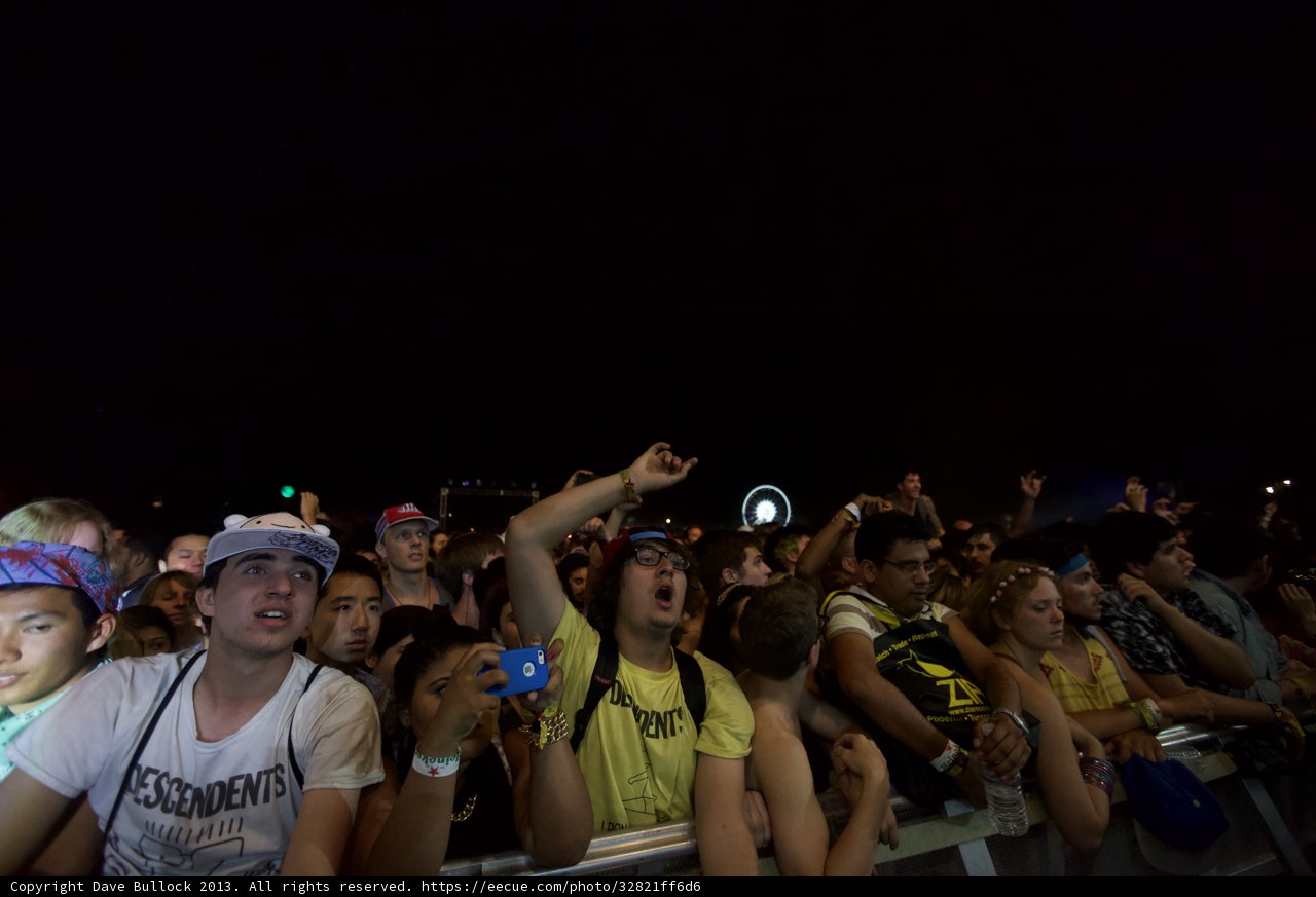 Hands in the Air at Coachella