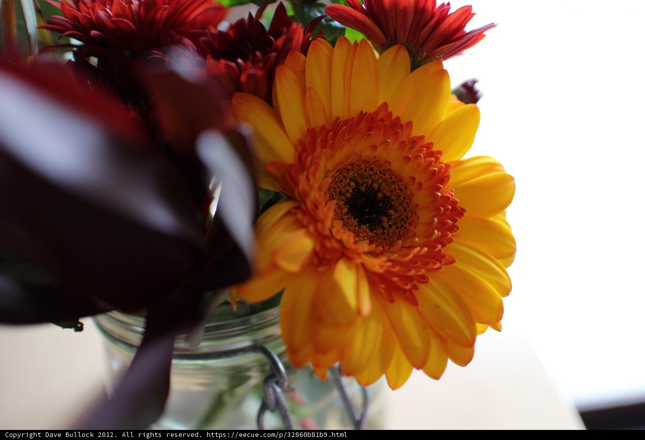 A Colorful Flower Bouquet in a Decorative Vase
