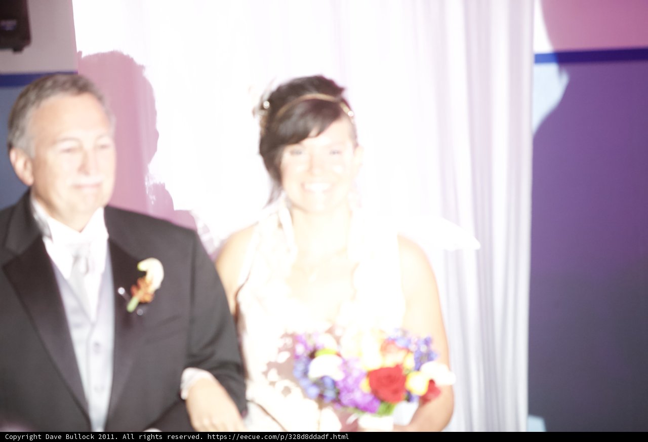 A Fairytale Wedding