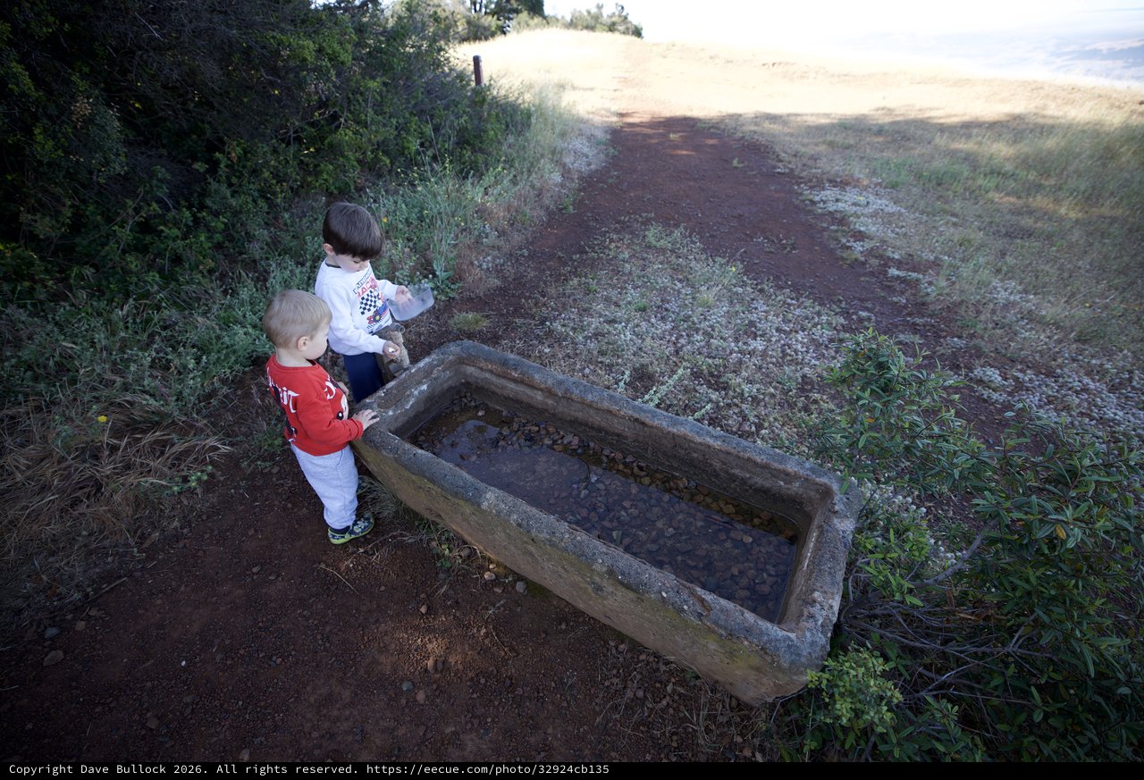 Two Young Boys Exploring a Stone Water Trough