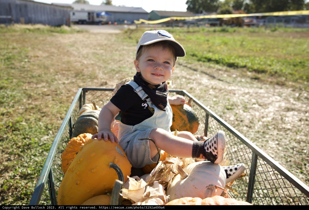 Autumnal Adventure: Pumpkin Extravaganza