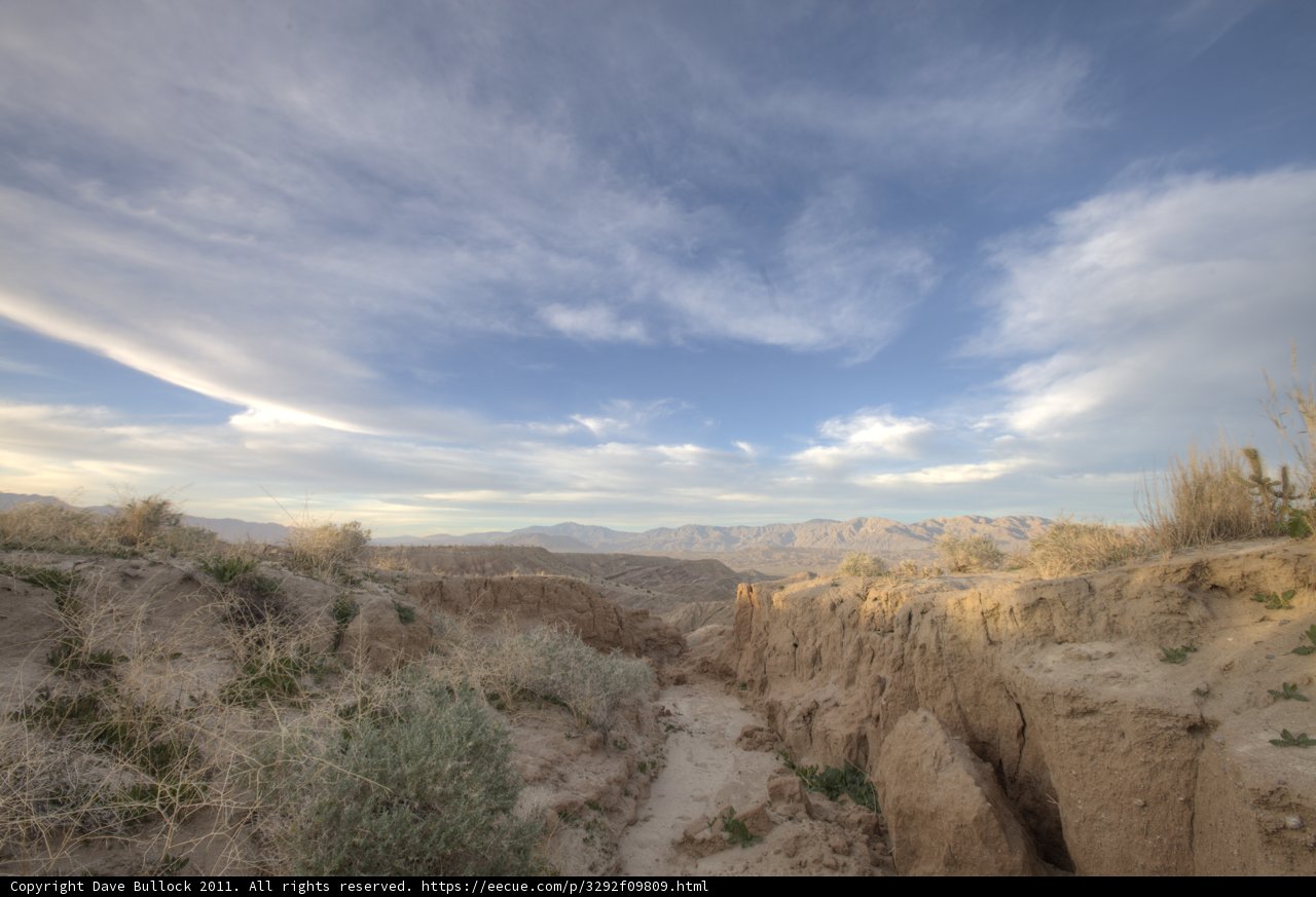 Endless Wilderness