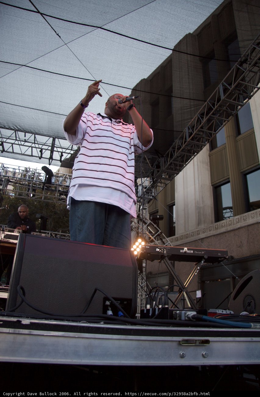 Concert Performance with a Dynamic Mic