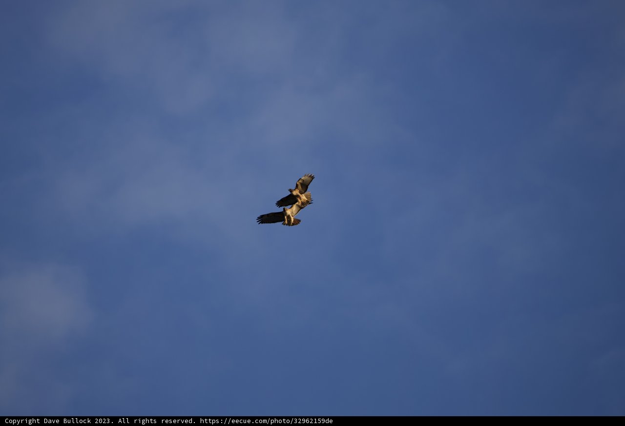 Majestic Aerial Dance at Lake Merced (2023)