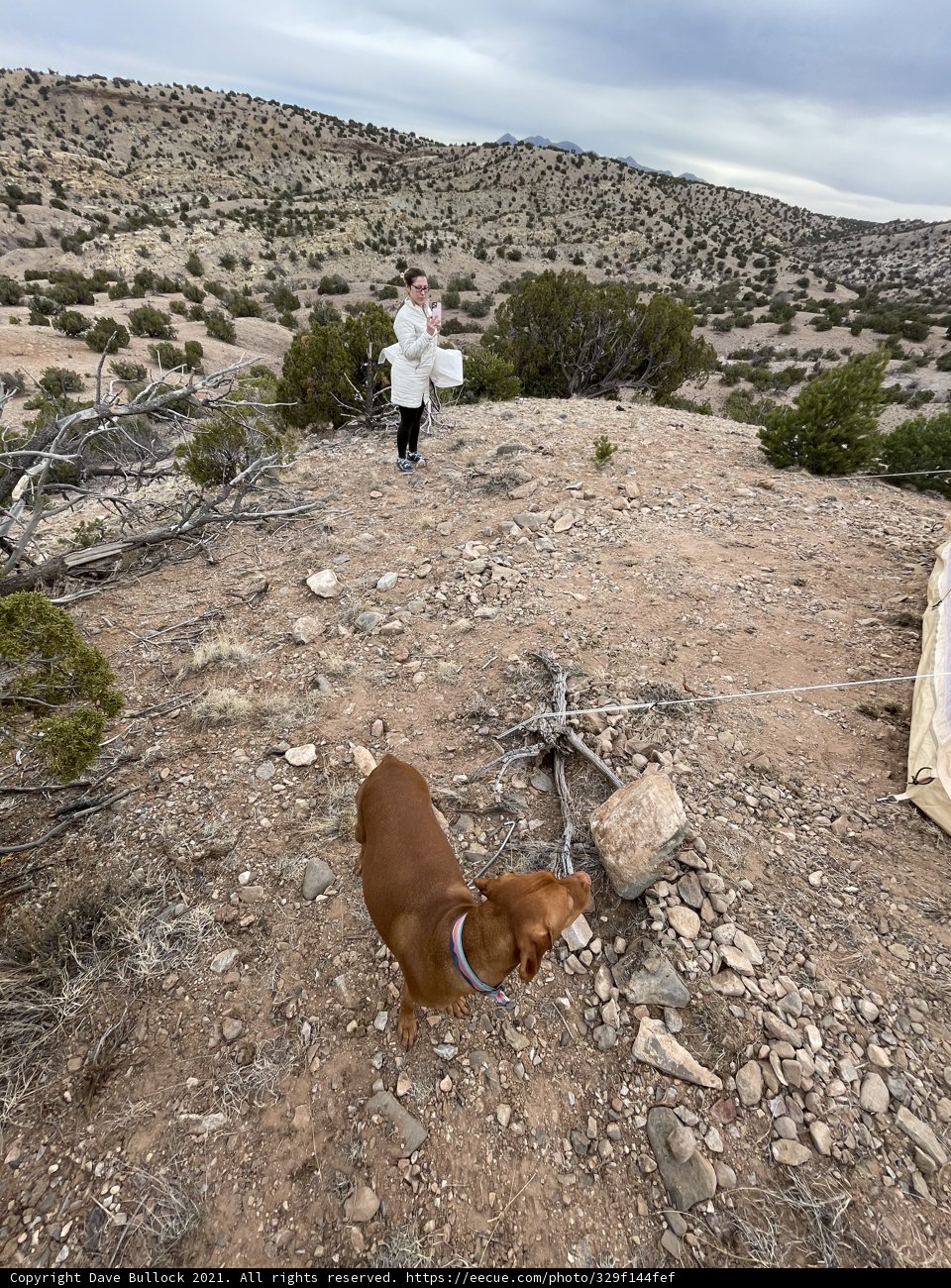 A Man and His Best Friend