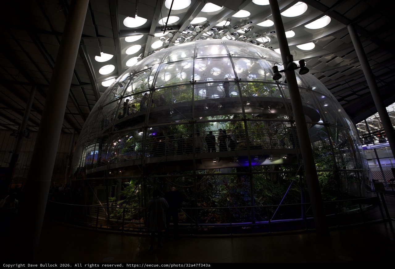 Illuminated Biodome Ecosystem in Modern Architecture