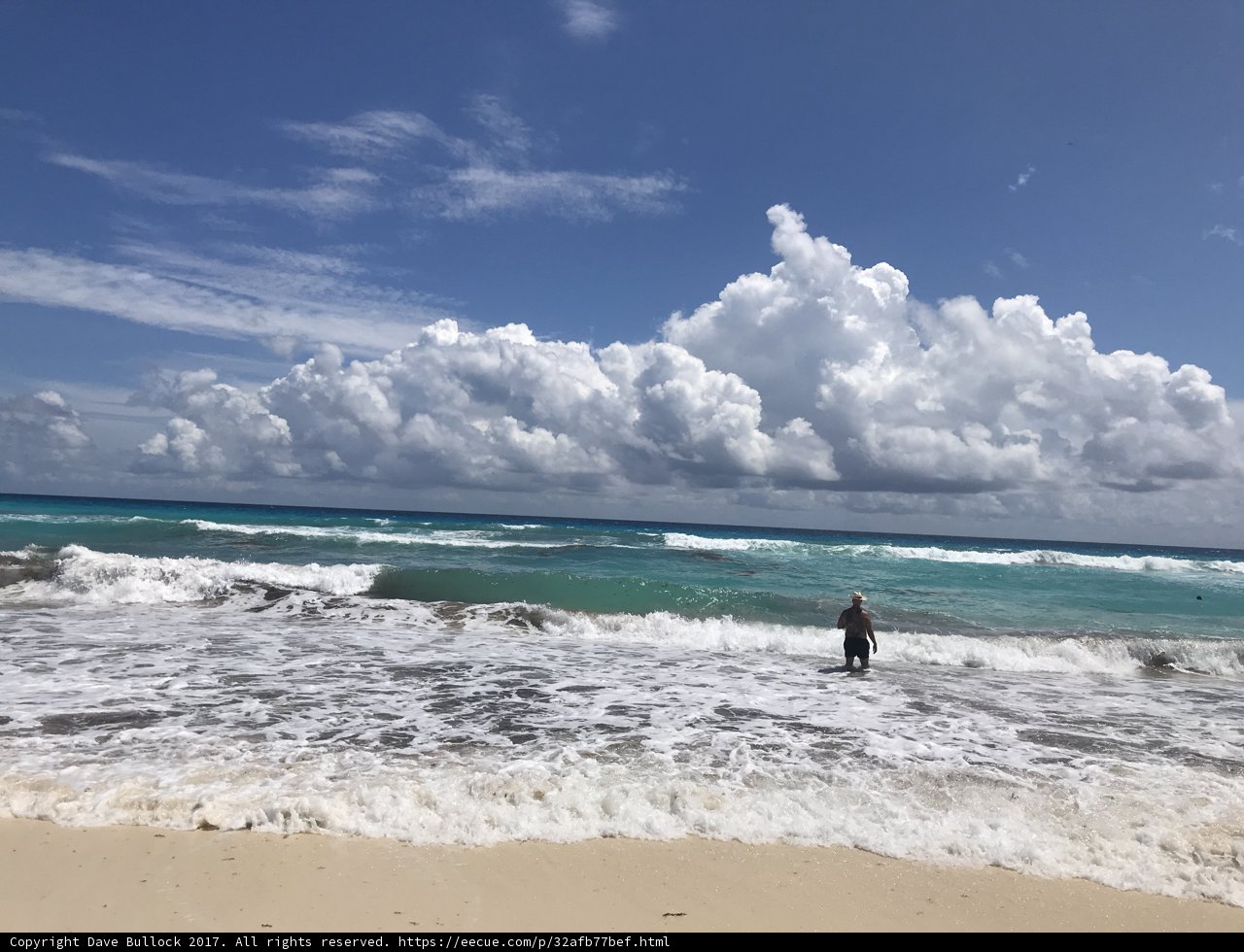 Serenity at the Shoreline
