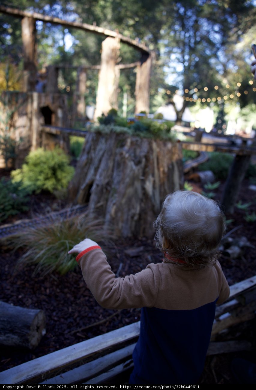 Curious Discoveries at Thistlewyck