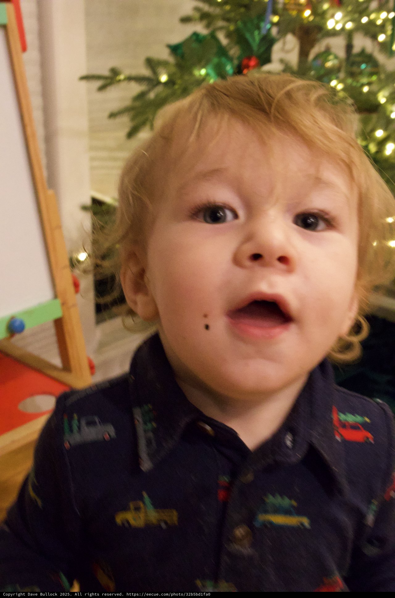 Curious Toddler on Christmas Morning