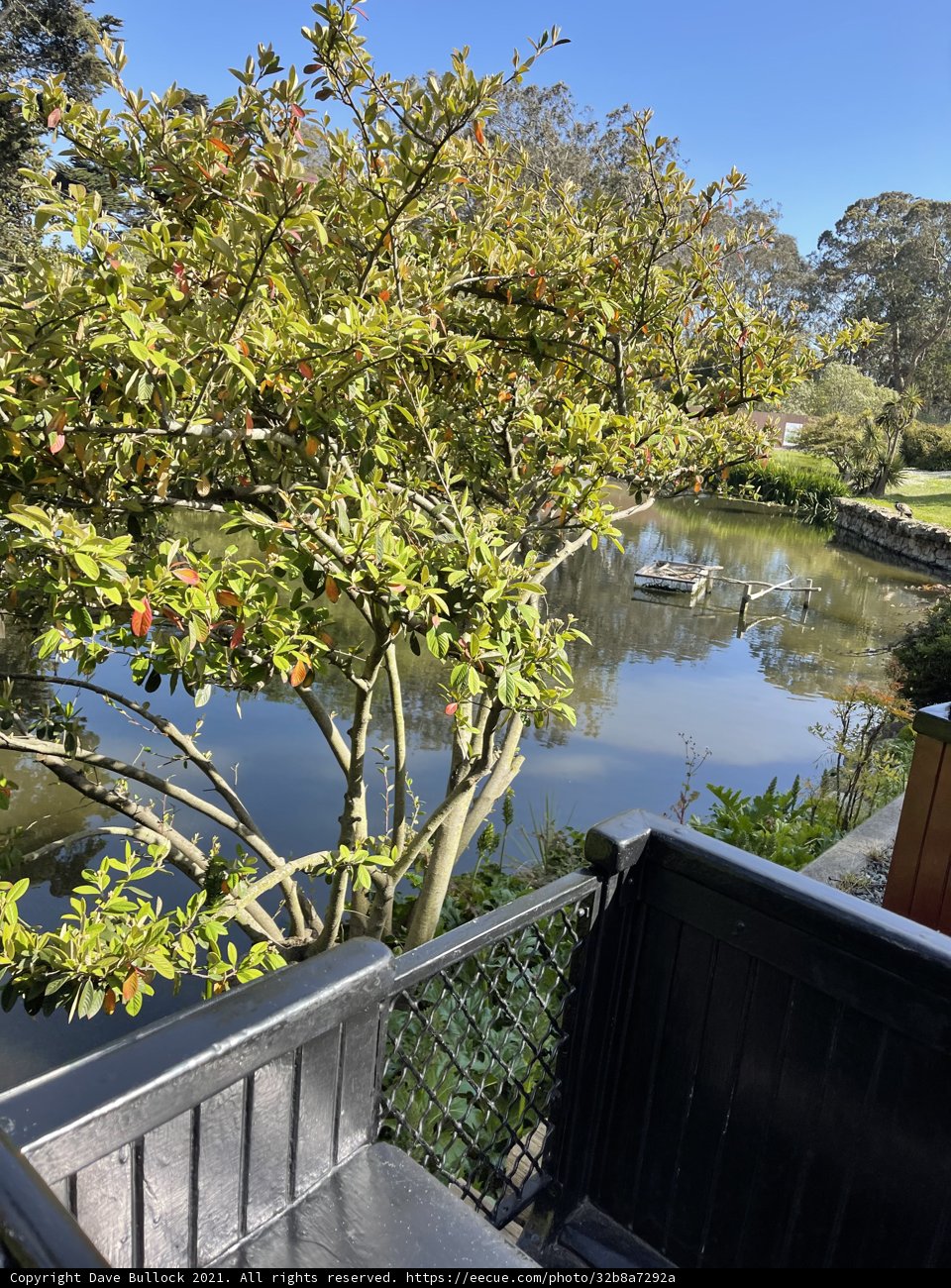 Serene Waterfront View