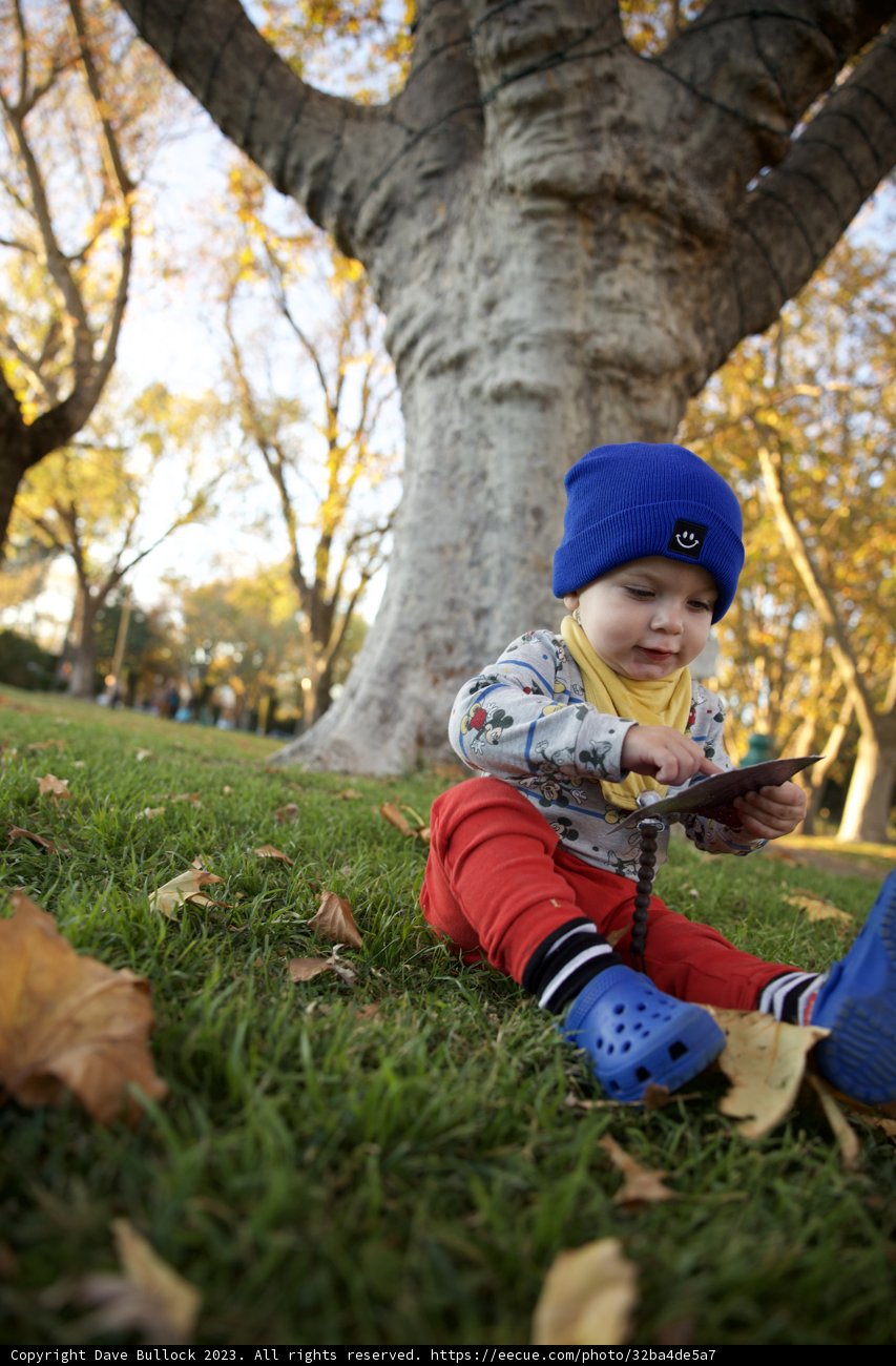 Nature Boy: An Autumn Day in Downtown Sonoma