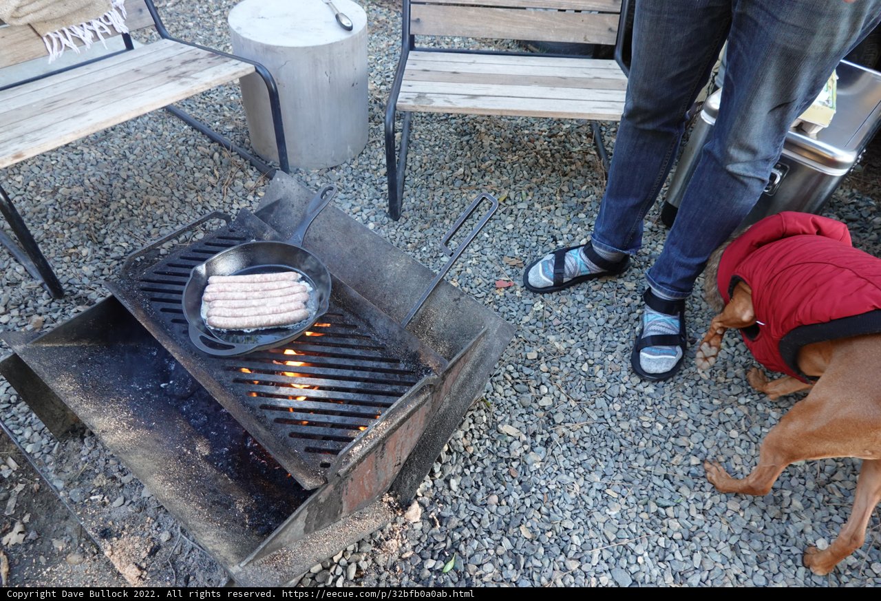 Grilling with Man's Best Friend