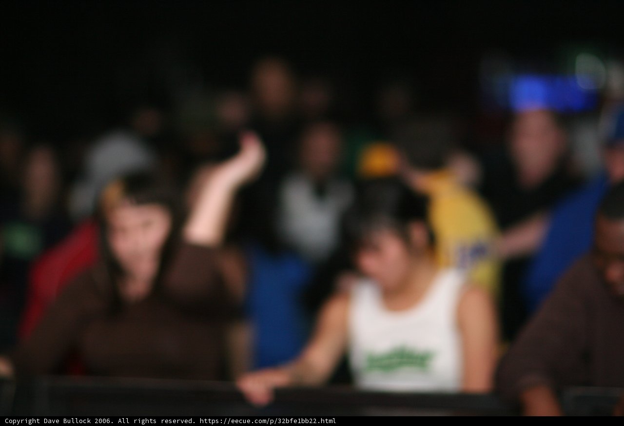 Partygoers Lost in Motion
