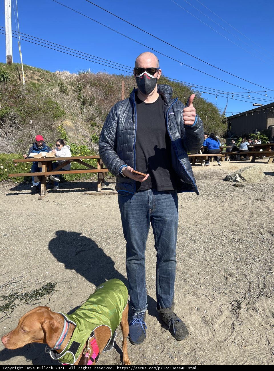 Masked Man and His Canine Companion at Bodega Bay Beach
