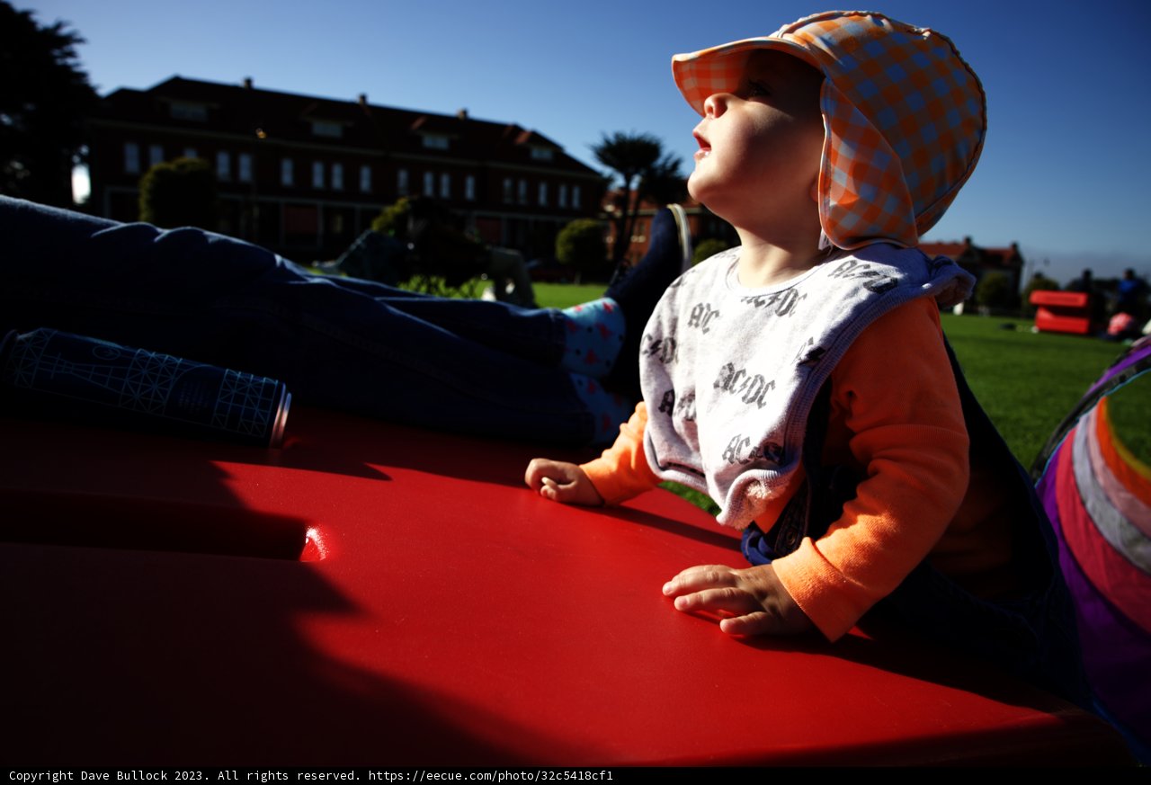 Curious Baby Enjoys a Sunny Day