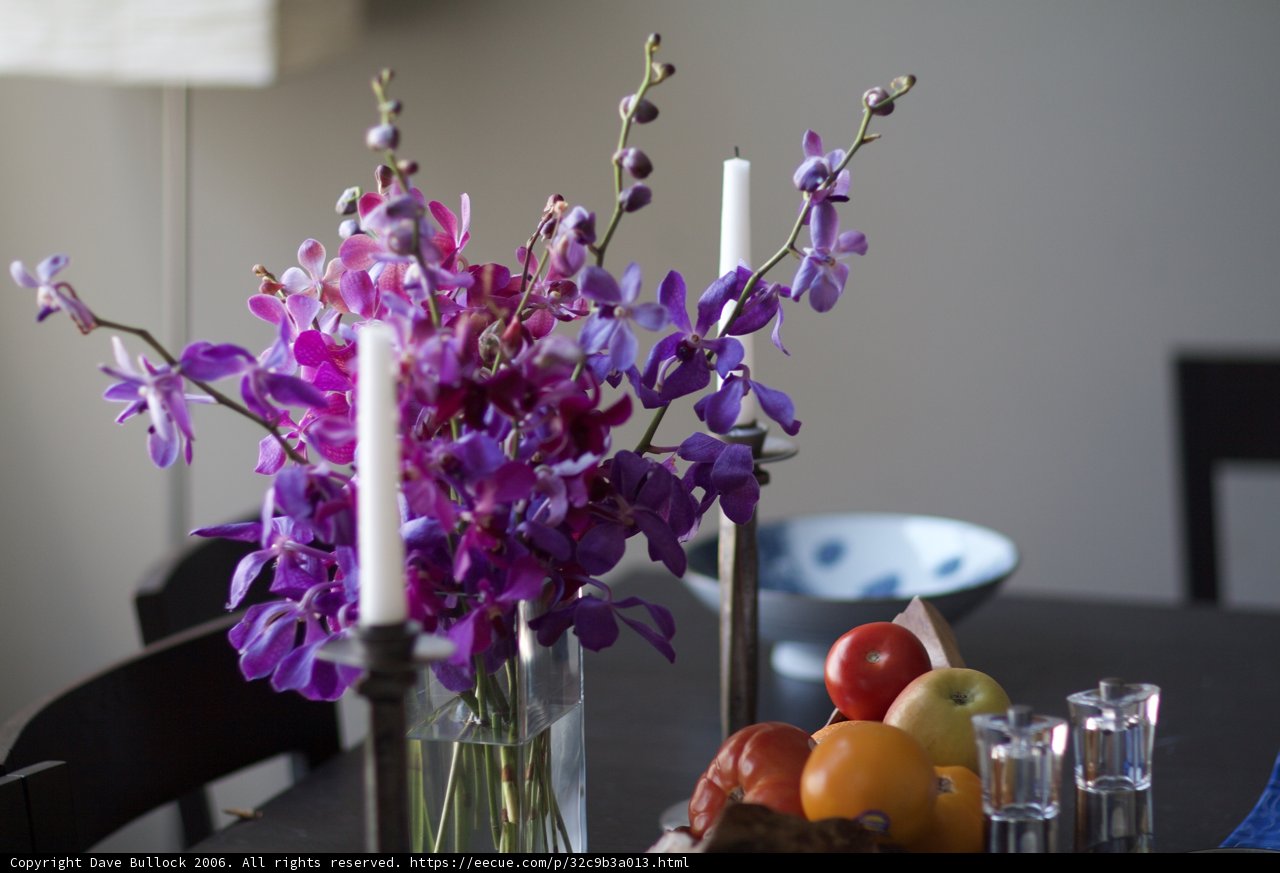 Purple Splendor