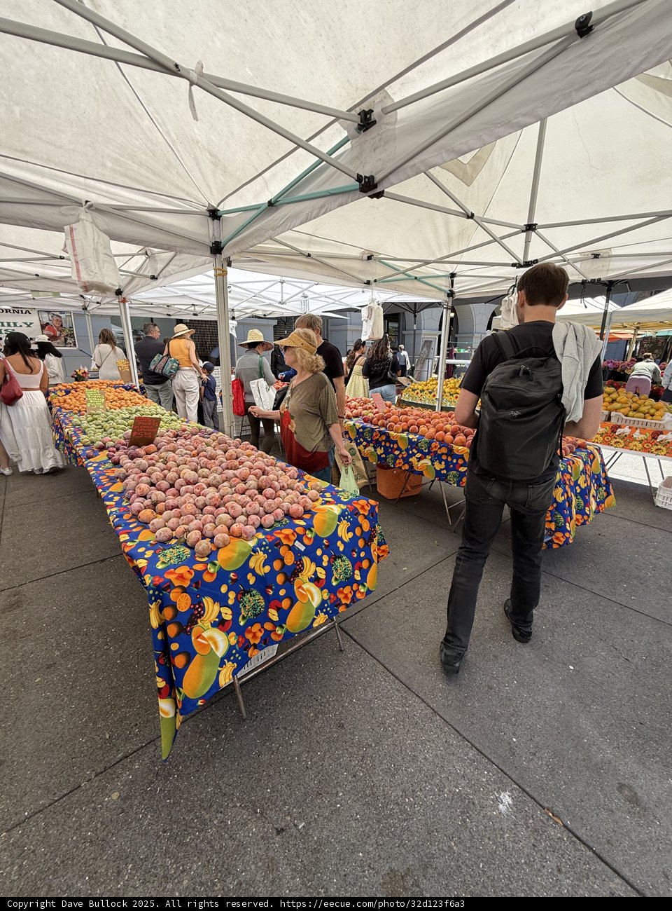 Vibrant Scenes at the San Francisco Farmer's Market