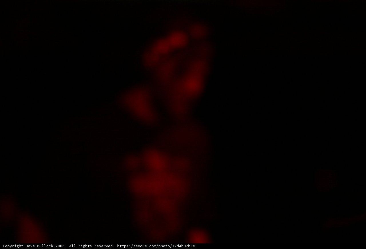 Red Shirted Guitarist Plays in the Night