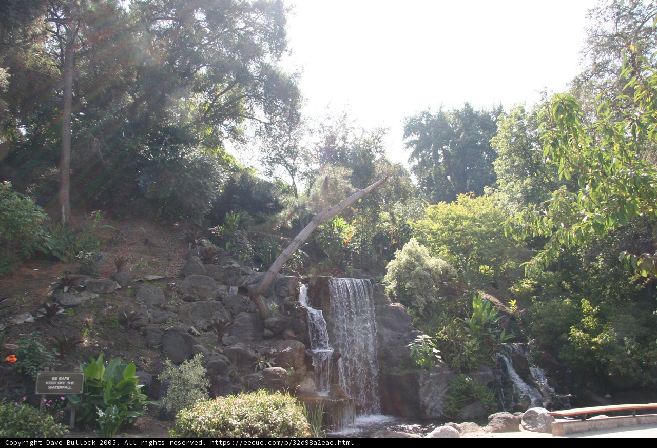 Majestic Waterfall in the Heart of the Park