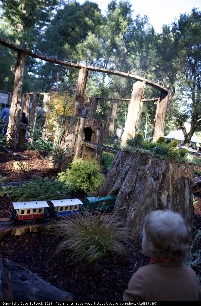 Miniature Railways of Thistlewyck