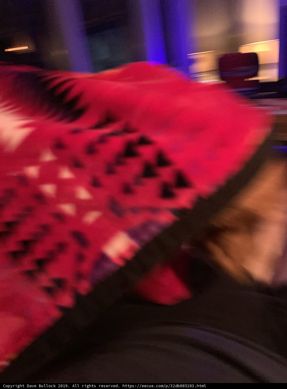 Cozy canine on velvet blanket