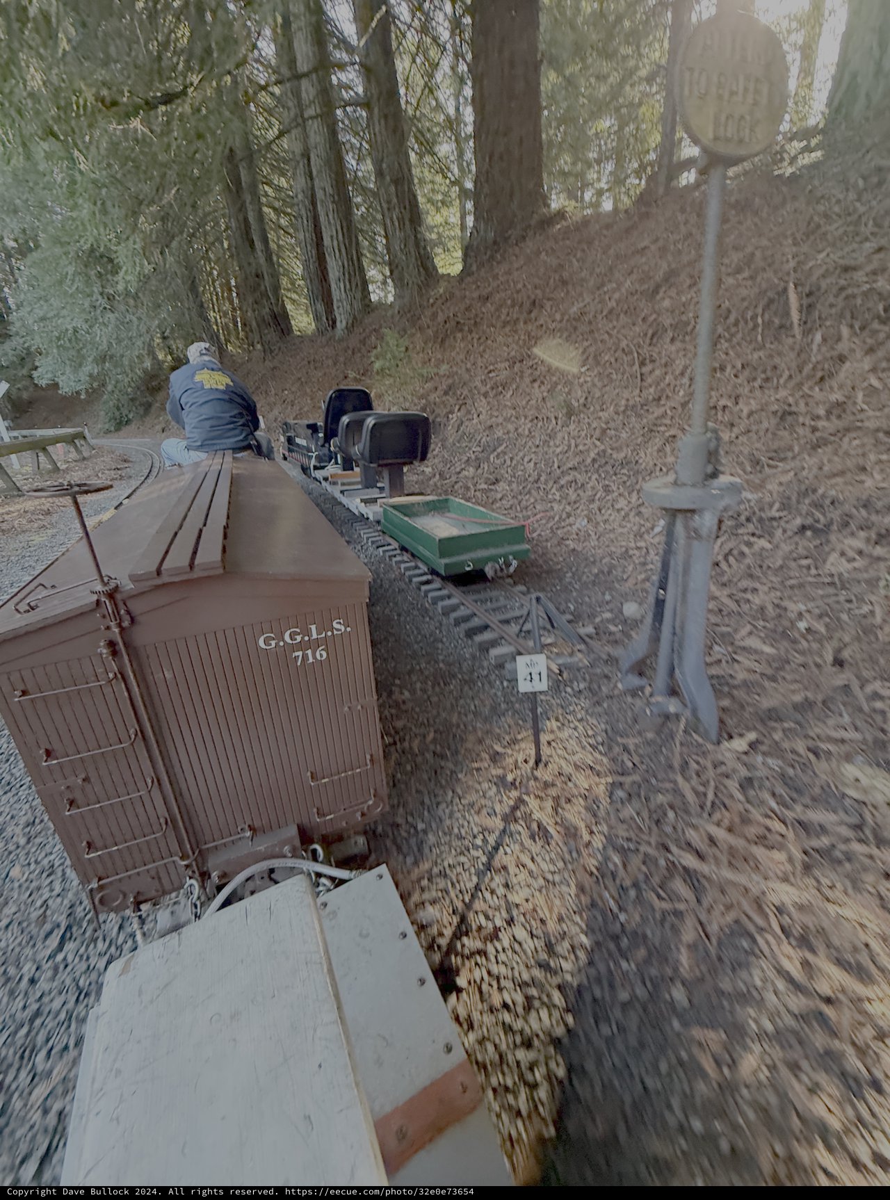 Model Railroad Train Journey Through Forest Scene