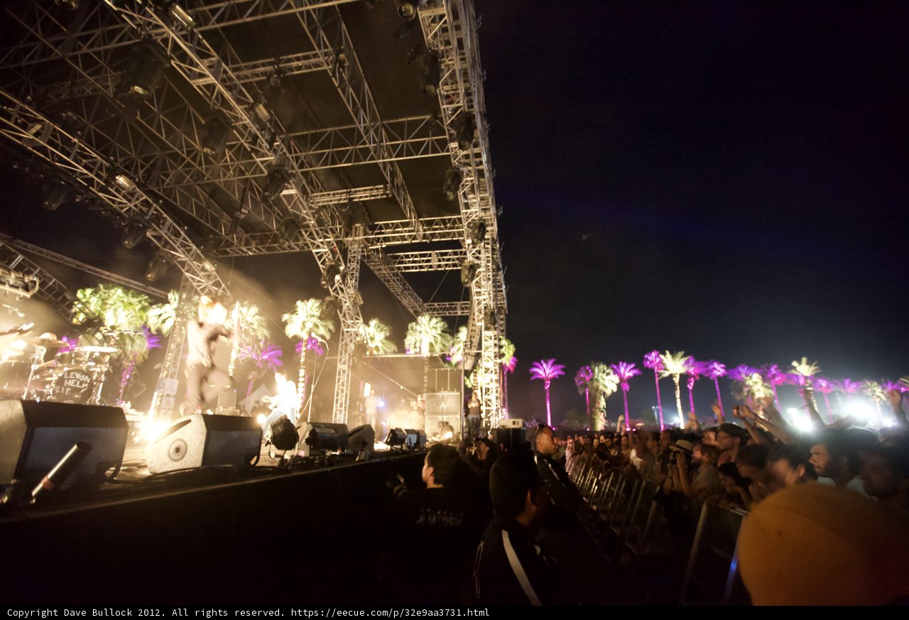 Rockin' Under the Palm Trees