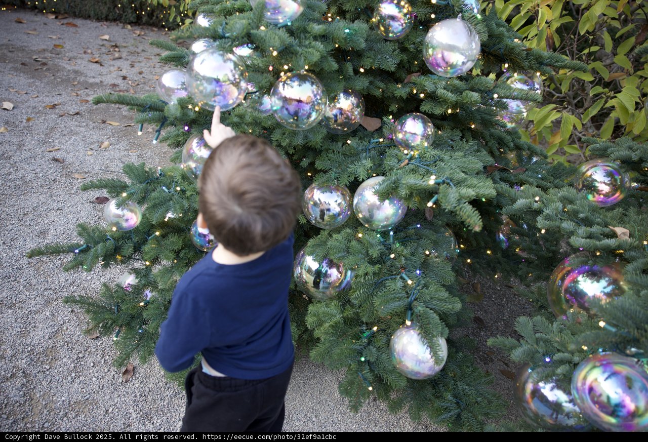 Enchanted by the Ornaments