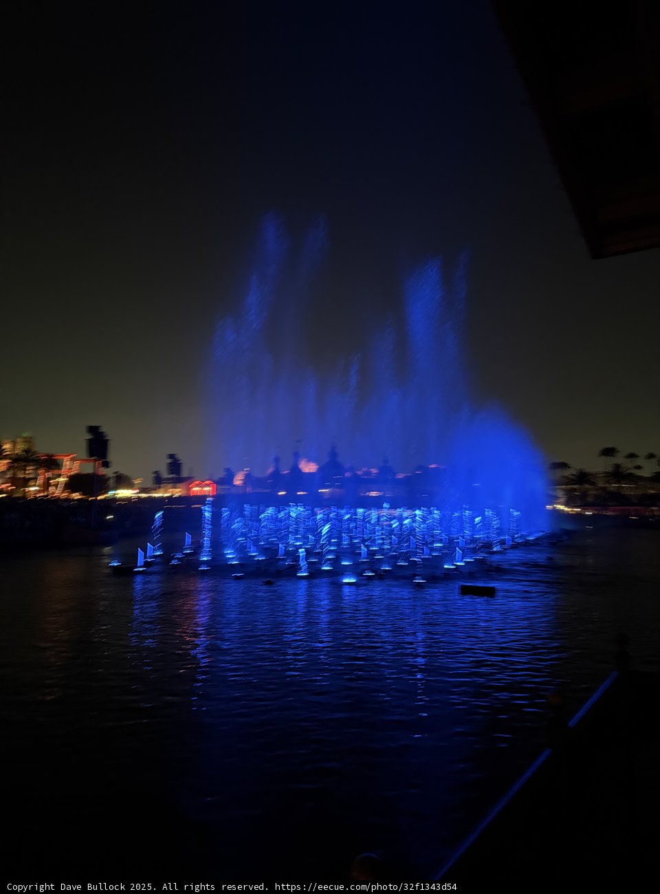 A Night at Disney: Dancing Fountains