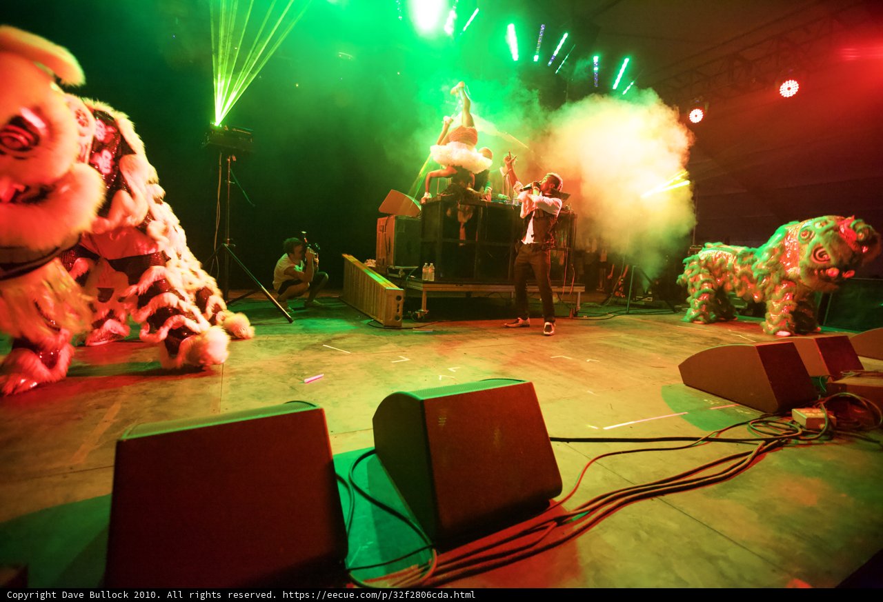 Fierce Animals On Stage