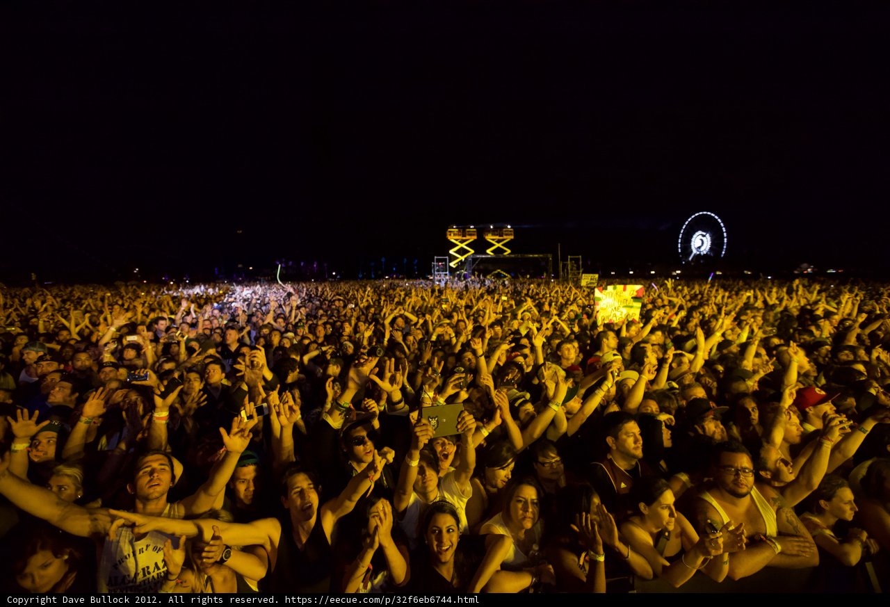 Hands Up in the Night Sky