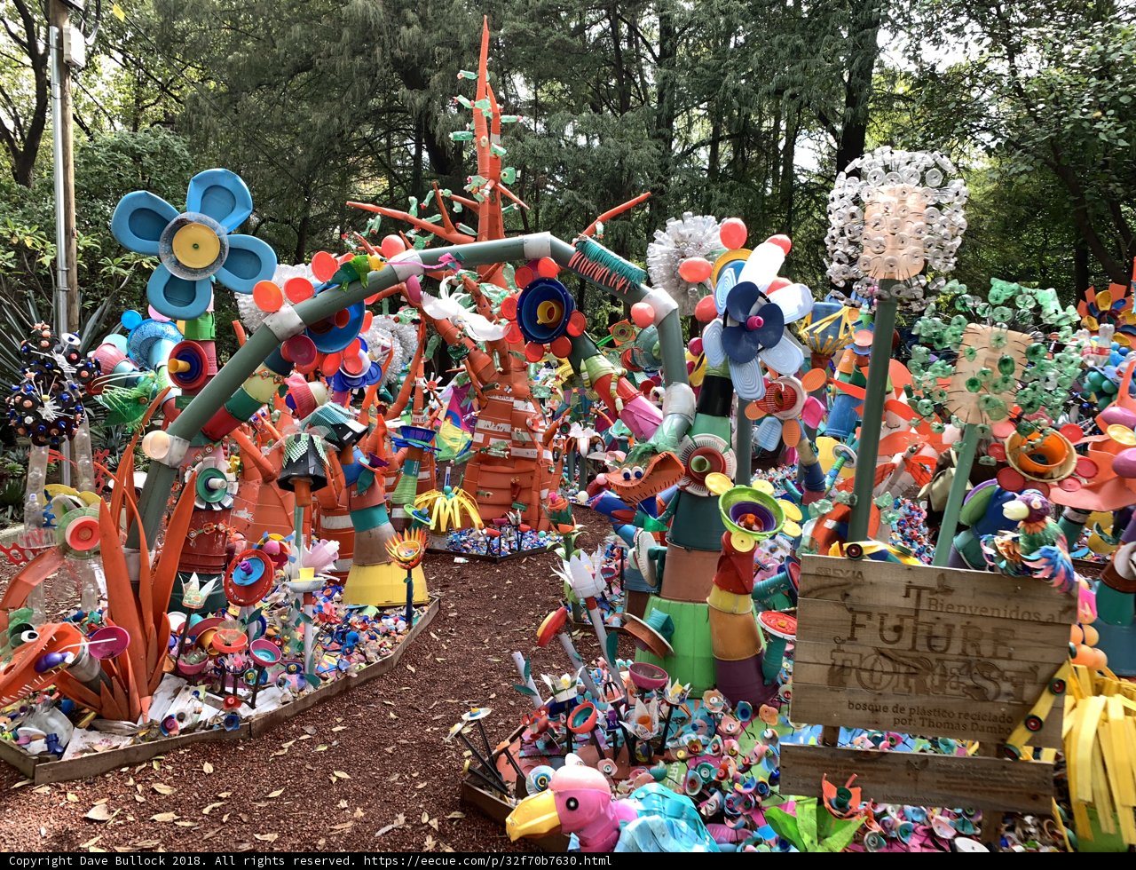 A Multifaceted Garden