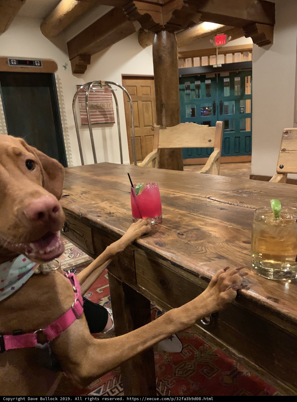 Table for Two