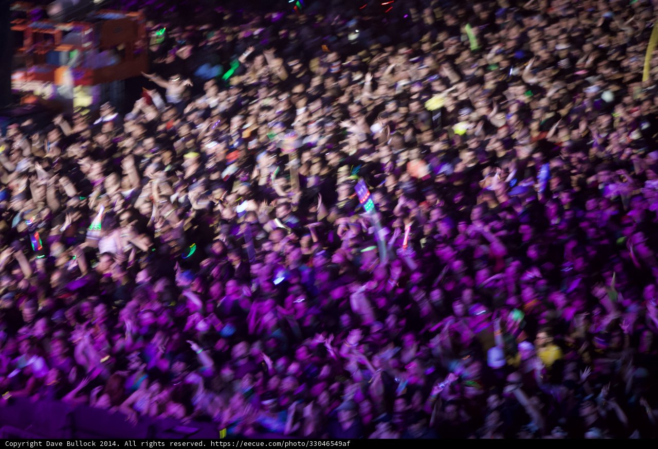 Electric Crowd at Coachella
