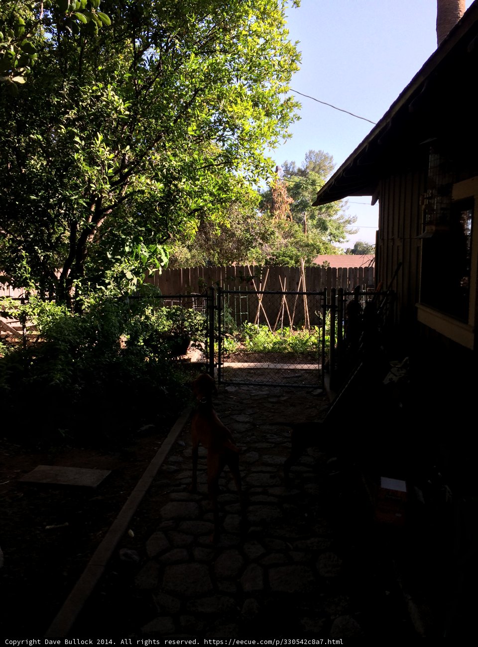 Arbour in the Garden