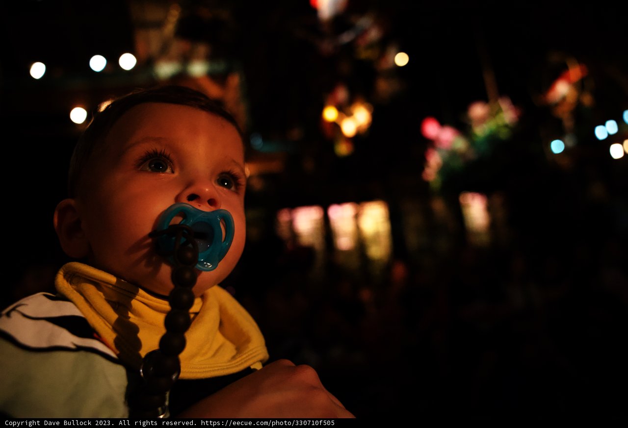 Little Wesley's Disneyland Adventure