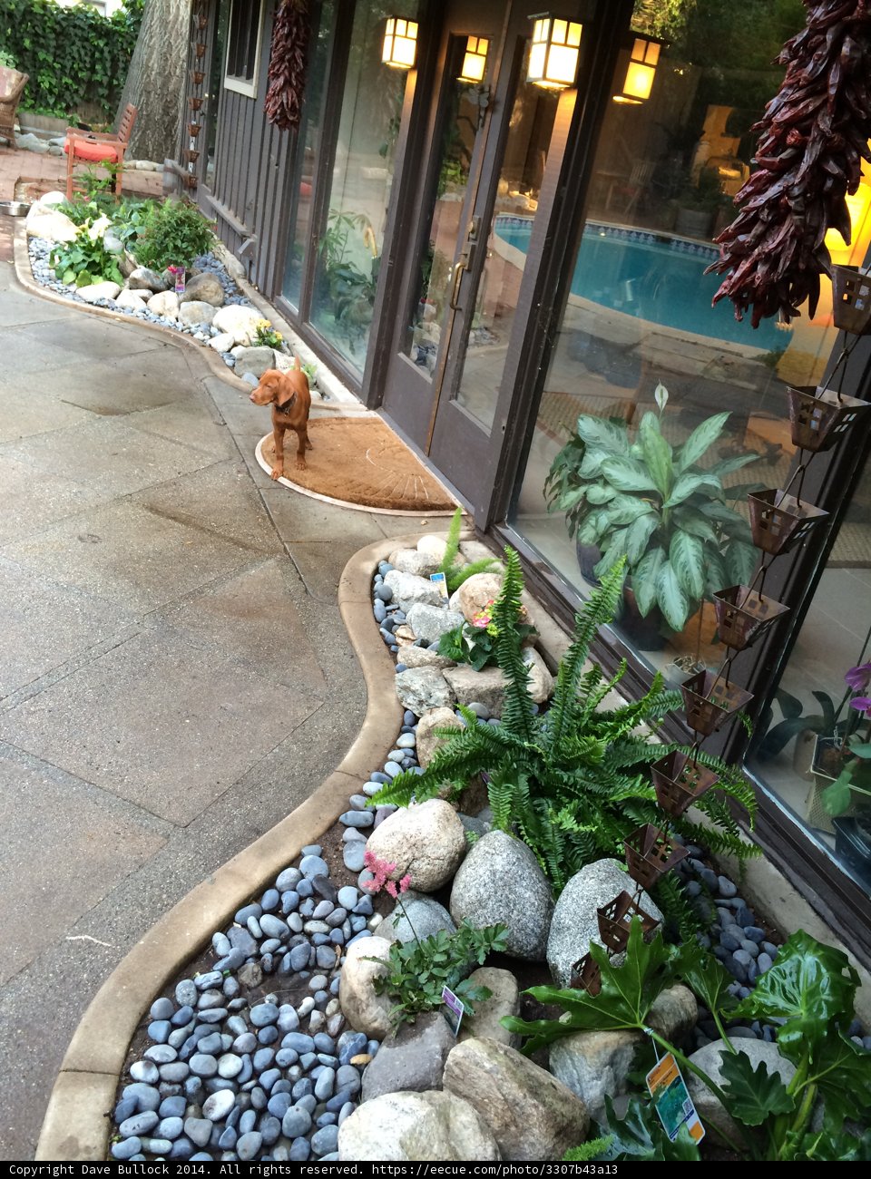 Serene Patio with Foliage and Rocks