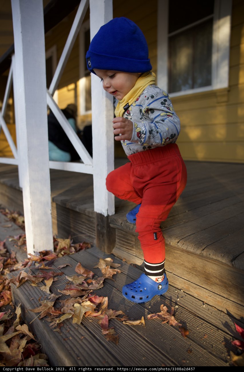Cherished Moments: Wesley's Outdoor Adventure