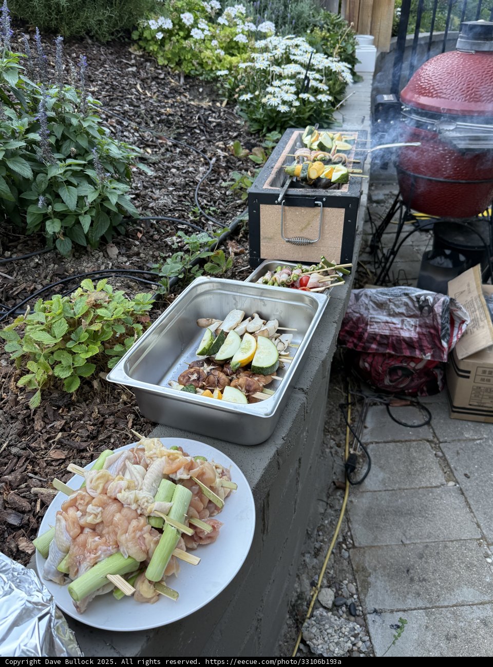 Backyard BBQ Bliss