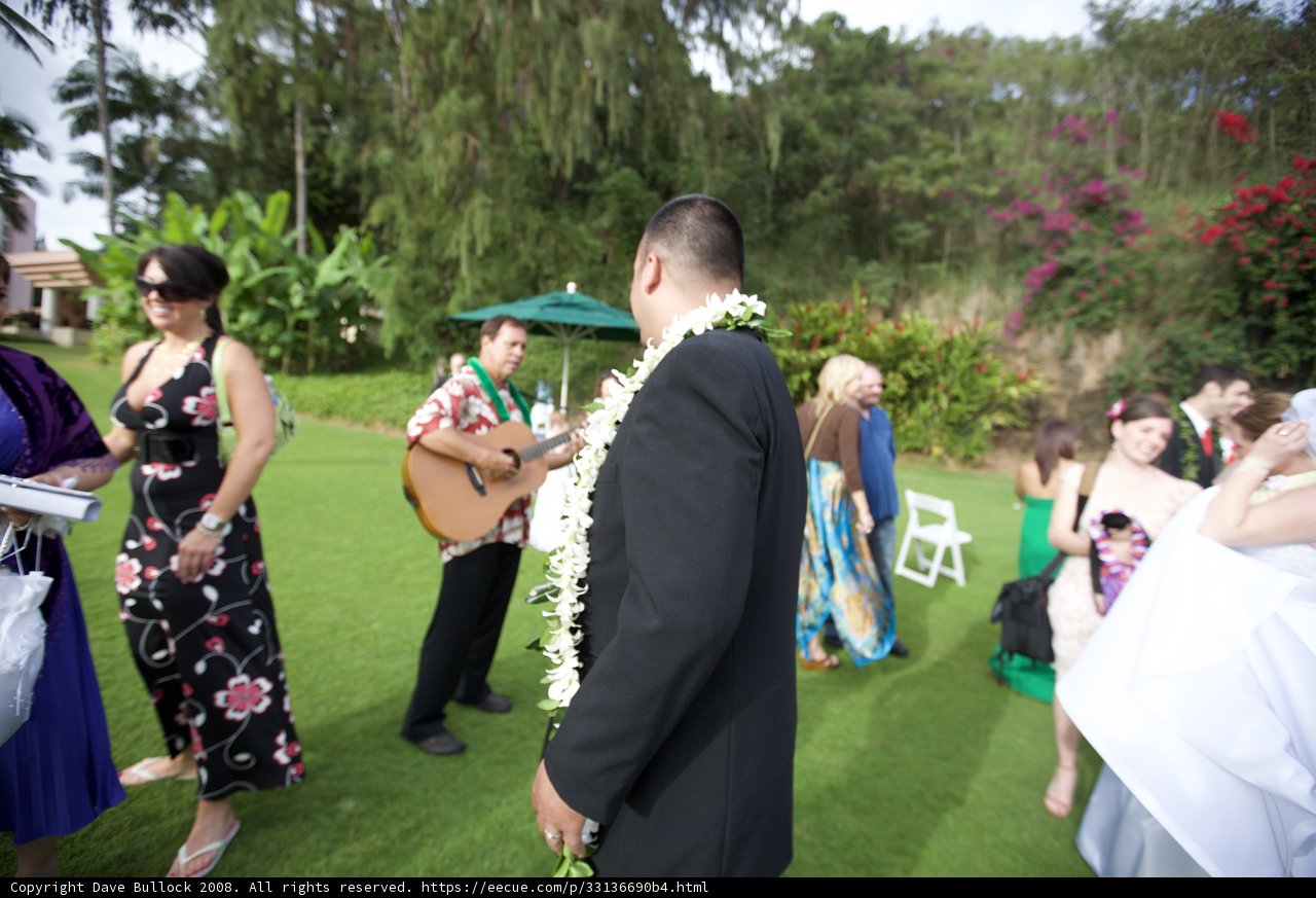 Hawaiian Wedding Bliss