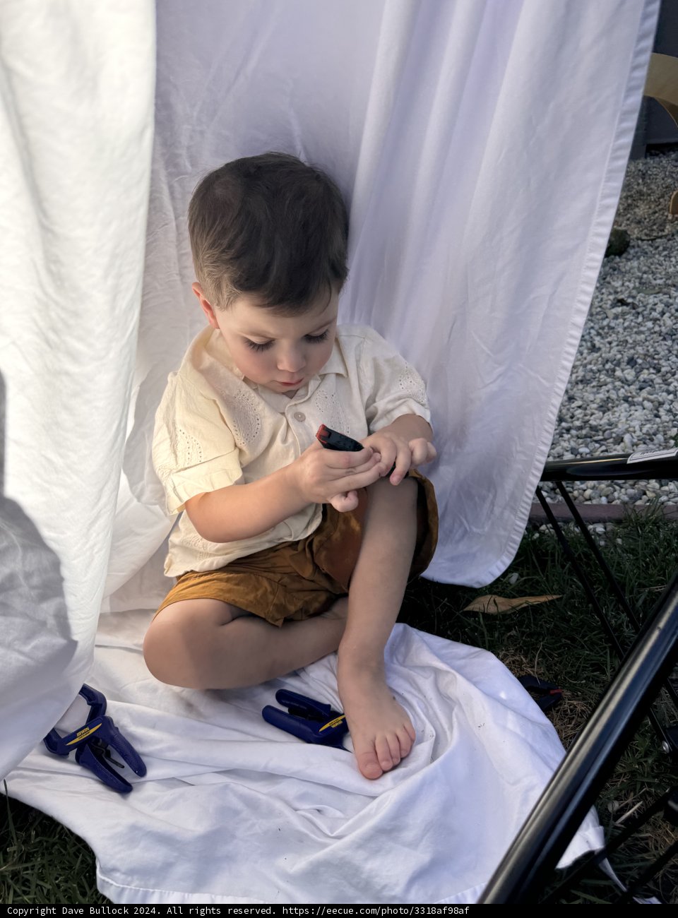 Curious Moments in the Shade